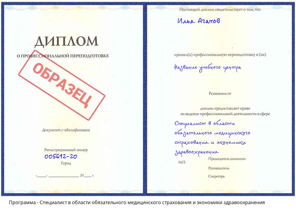 Специалист в области обязательного медицинского страхования и экономики здравоохранения Иваново