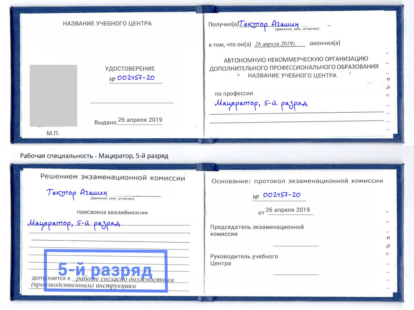 корочка 5-й разряд Мацератор Иваново
