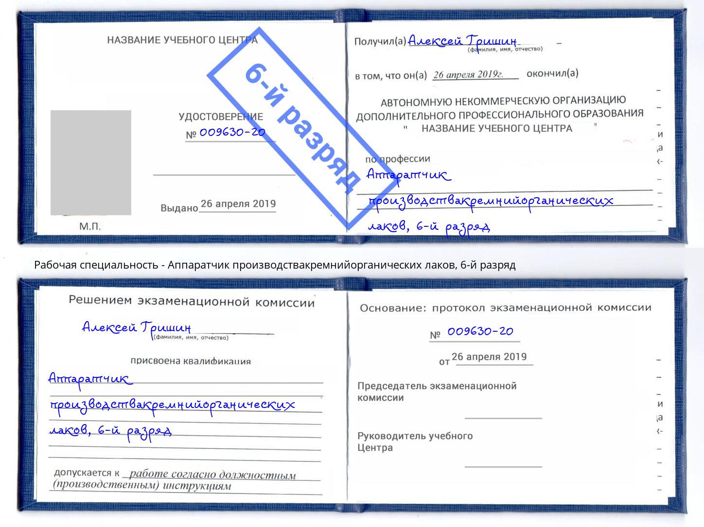 корочка 6-й разряд Аппаратчик производствакремнийорганических лаков Иваново